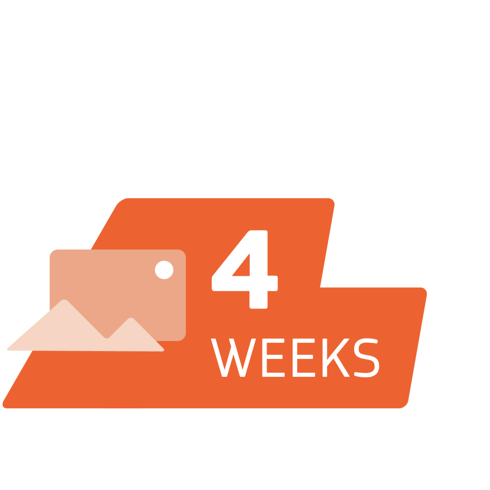 4 weeks