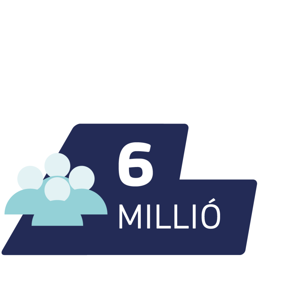 6 millió