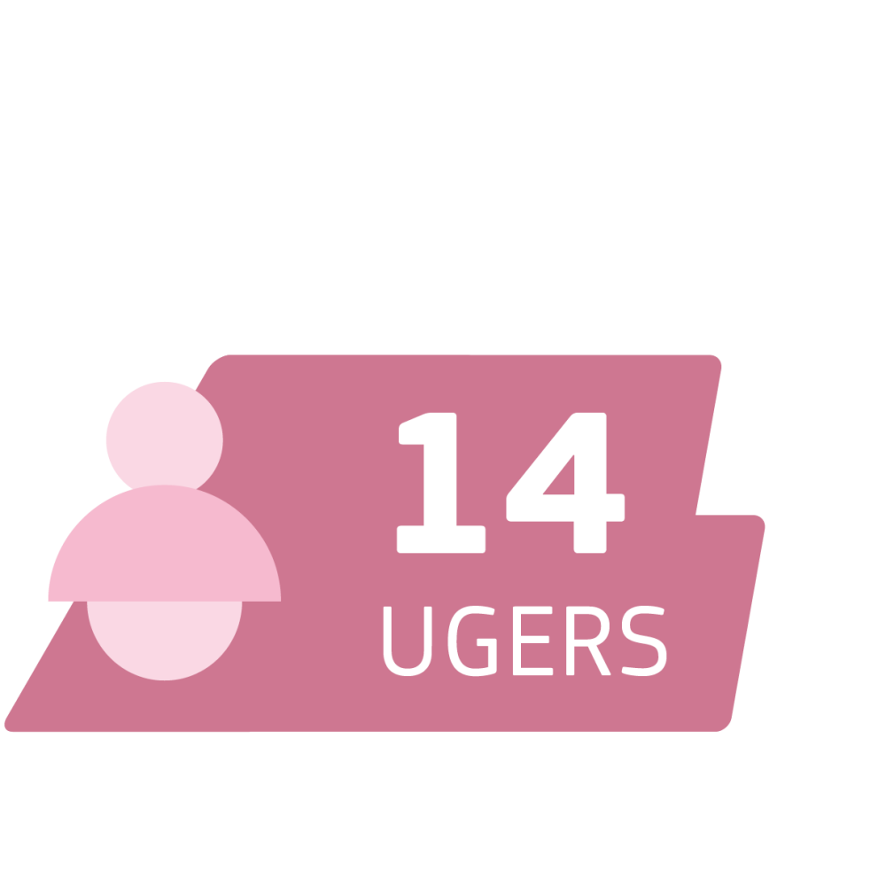 14 uger