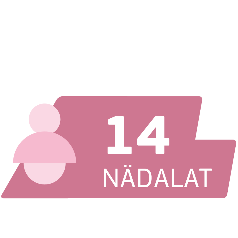 14 nädalat